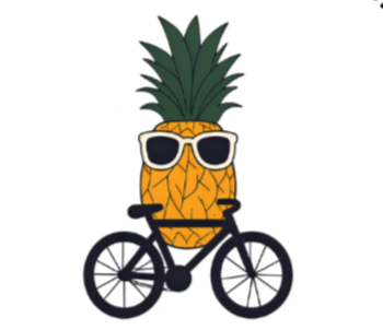 cuocoinbicicletta.com